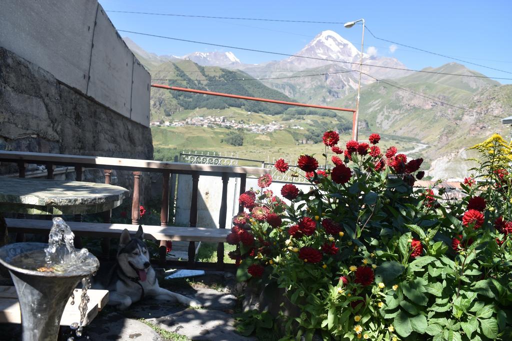 Qusha Guesthouse Meeting In The Mountains And Views Stepantsminda Exterior foto