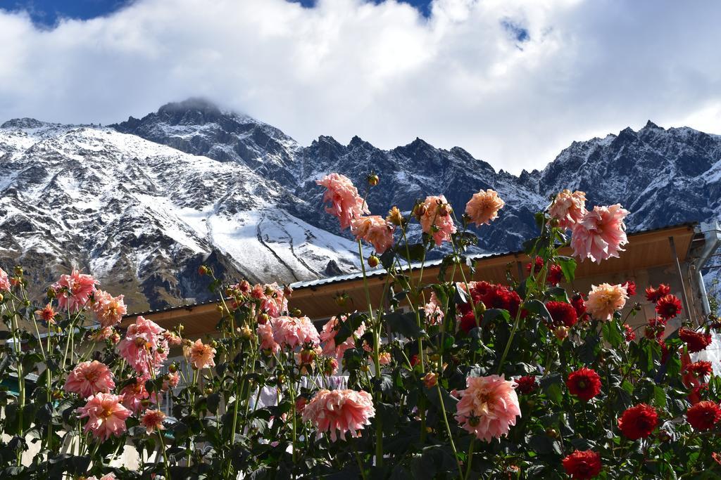 Qusha Guesthouse Meeting In The Mountains And Views Stepantsminda Exterior foto